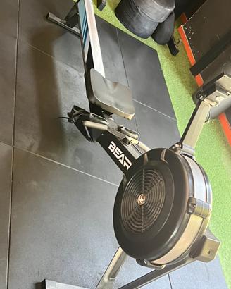 Vogatore bear fitness