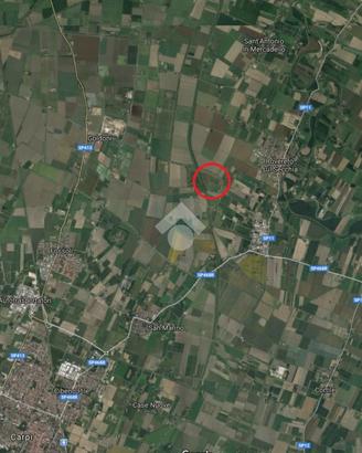 TER. AGRICOLO A NOVI DI MODENA
