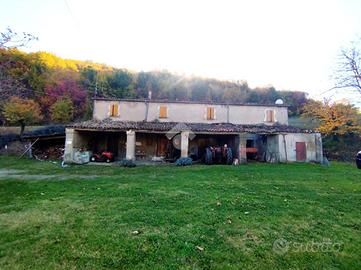 CASA INDIPENDENTE A MERCATO SARACENO