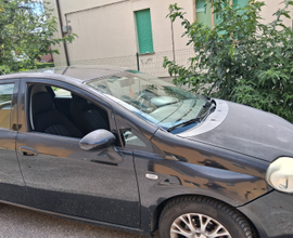 Fiat punto evo 1.3 multijet 75cv 5 porte