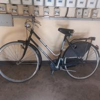 bicicletta donna 