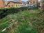Immagine 5