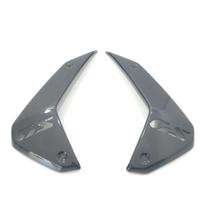 FIANCHETTI LATERALI RADIATORE SERIGRAFATI CARBONIO