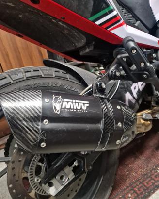 scarico completo mivv morini x cape 650