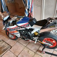 Ohvale gp0 evo 160 10 pollici