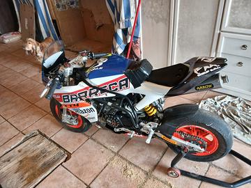 Ohvale gp0 evo 160 10 pollici