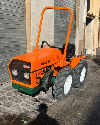 Goldoni Universal 245 “Nuovo”