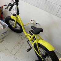 Bicicletta pieghevole