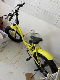 Bicicletta pieghevole