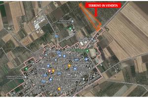 TERRENO misto Agricolo/Edificabile