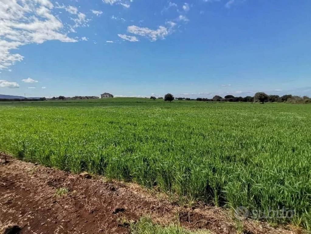 Immobile in asta di 716 m² con più di 5 locali a S - Altro