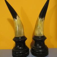 CORNA DI BUE SU BASE DI LEGNO (datate)