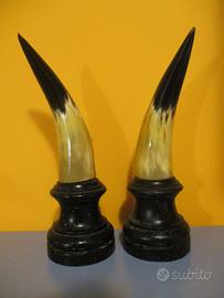 CORNA DI BUE SU BASE DI LEGNO (datate)