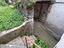 Immagine 18
