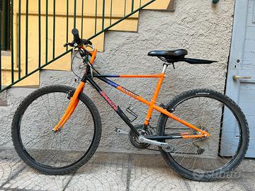 Bianchi pholcus (ragno)