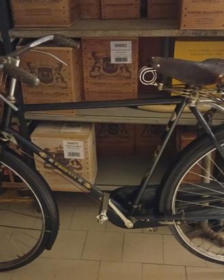 bici per appassionati 