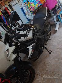 moto kavasaki
