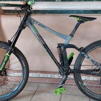 Bici mtb DH
