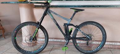 Bici mtb DH
