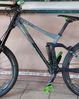 Bici mtb DH