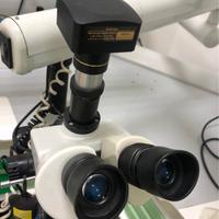 odontotecnico-orafo- hobby