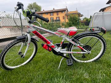 Bicicletta Zecchini bambino
