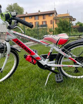 Bicicletta Zecchini bambino