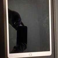 Apple ipad pro 10.5”  256gb wifi + 4g con sim