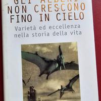 Gli alberi non crescono fino al cielo - Stephen Ja