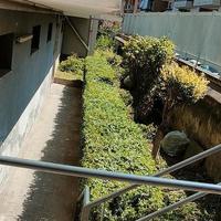 Lavoro come giardiniere pratico e altri lavori