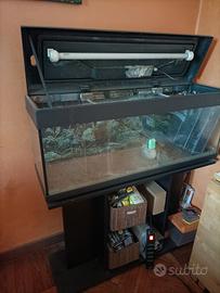 acquario 100 litri