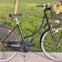 Delma Olandesina 26 pollici