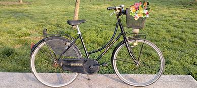 Delma Olandesina 26 pollici