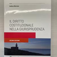 Il diritto costituzionale nella giurisprudenza