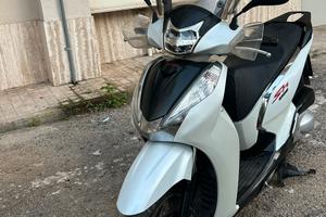 Sh 300  sport