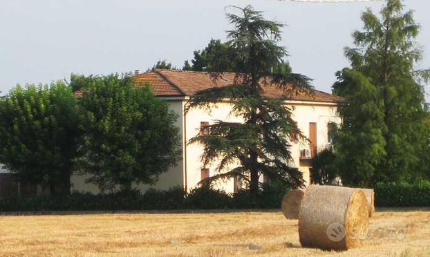 Bilocale arredato