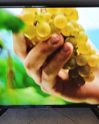 TV Sony Bravia 