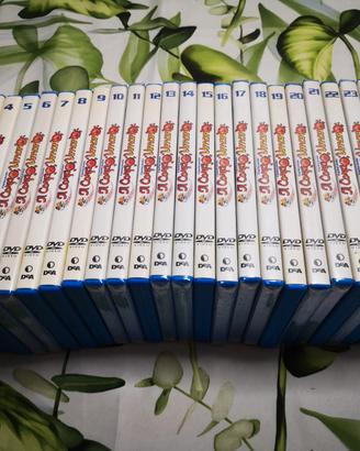 Dvd Esplorando il corpo umano 