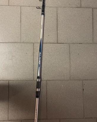 Canna da pesca surfcasting
