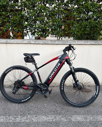 Bici elettrica