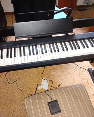 CASIO CDP 110