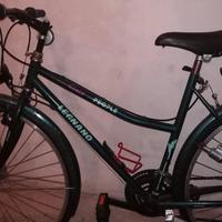 coppia bici uomo / donna