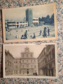 modena
