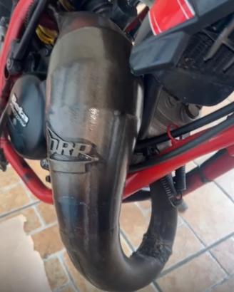 drp am6