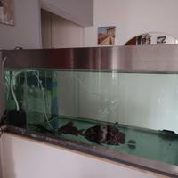 Acquario