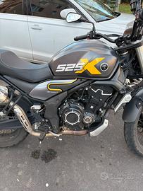 Scambler acx 525 trofeo voge