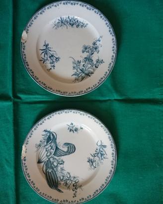 Piatti Richard serie Fiori