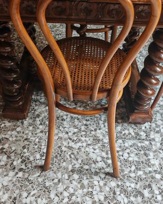 Sedie antiche Fischel/Thonet Austria stile 1900