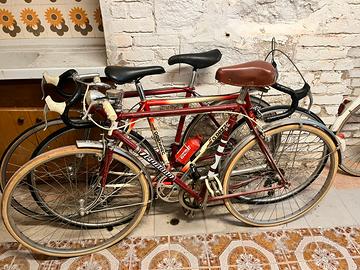 Bici uomo e donna da passeggio