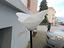Immagine 1